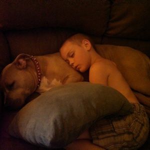 Meet your Posher, Connor